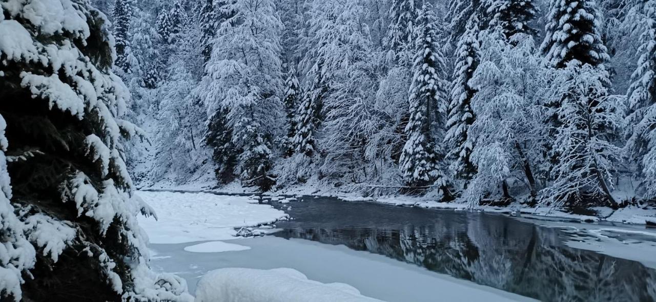 Зарінок Карпат Villa เมอคุลิชิน ภายนอก รูปภาพ